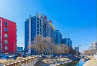 广东牛奶椰青价位